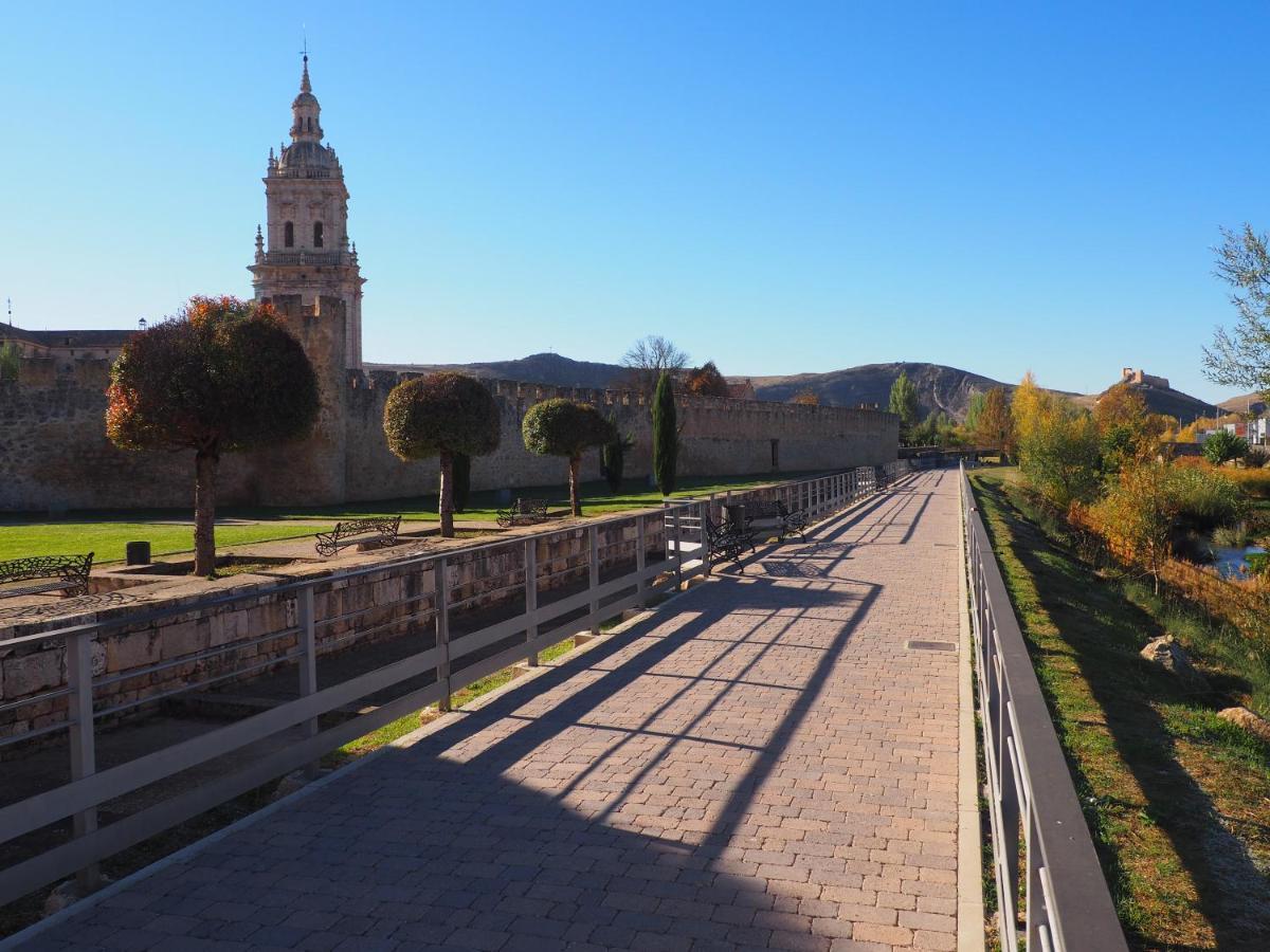 Ferienwohnung La Casona Del Zoilo -La Rasa- El Burgo de Osma-Ciudad de Osma Exterior foto